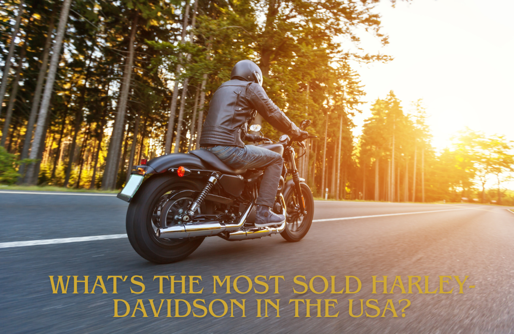 What’s the Most Sold Harley-Davidson in the USA? Click Here!