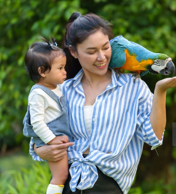 Ways to Introduce Bird Watching to Kids