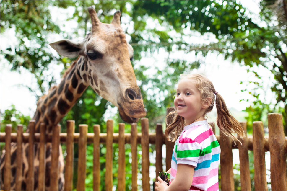 Exploring National Parks: Fun Wildlife Watching with Your Kids